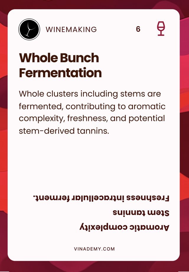 Carta de elaboración: Whole Bunch Fermentation